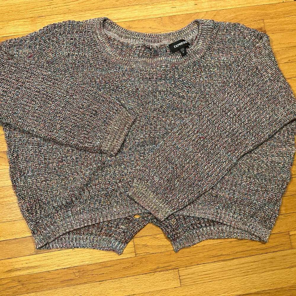 Express Multicolor Knit Sweater